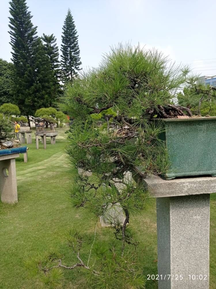土壤固化剂物美价优