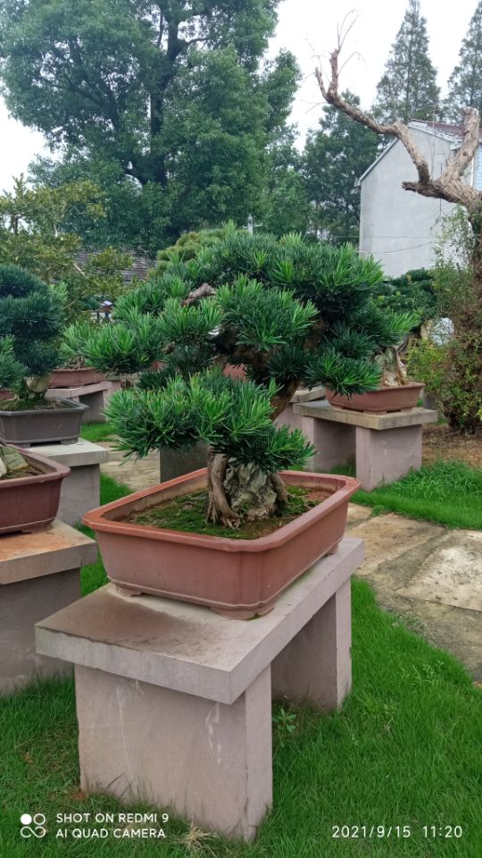 土壤固化剂生物酶土壤固化剂货到付款