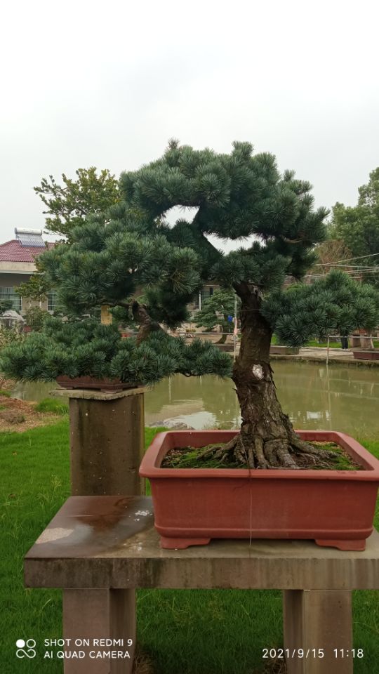 重金属土壤修复
淤泥固化剂安装欢迎来厂考察