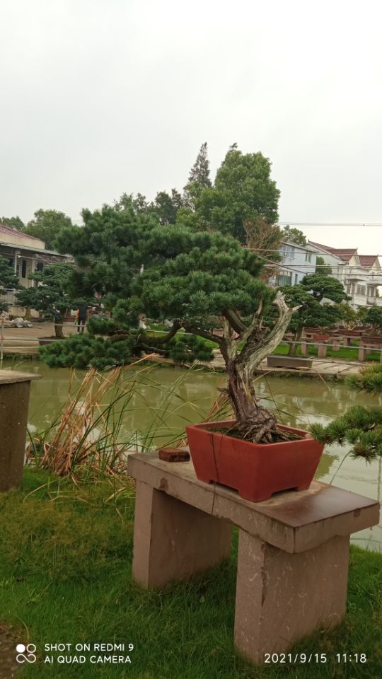 土壤固化剂物美价优