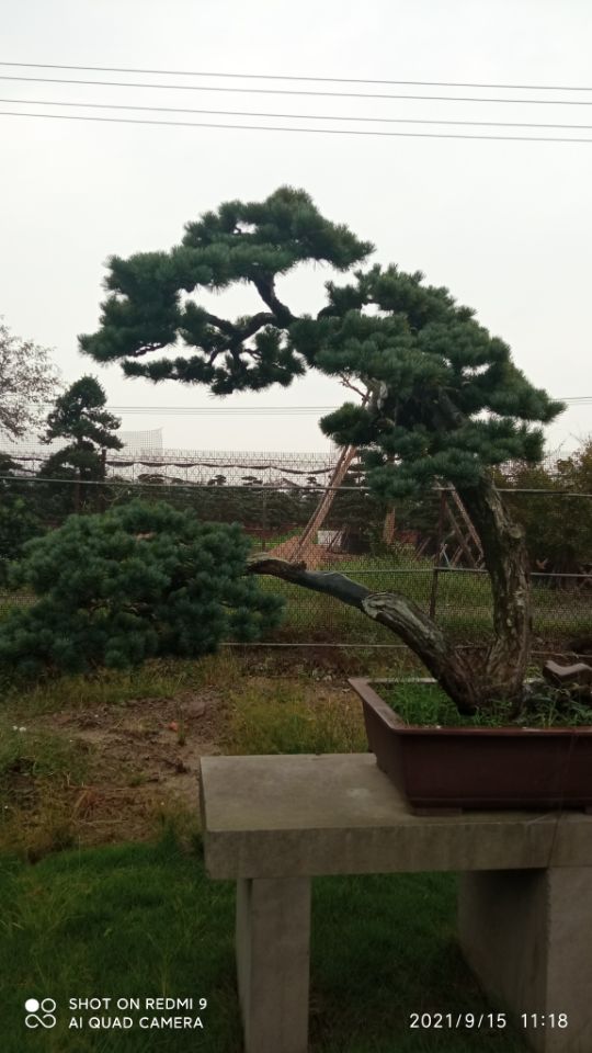 土壤固化剂生物酶土壤固化剂货到付款
