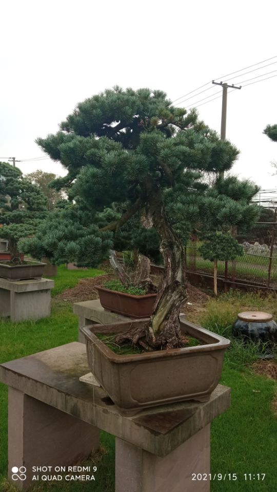 土壤固化剂物美价优