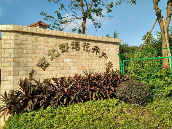 土壤固化剂生物酶土壤固化剂货到付款