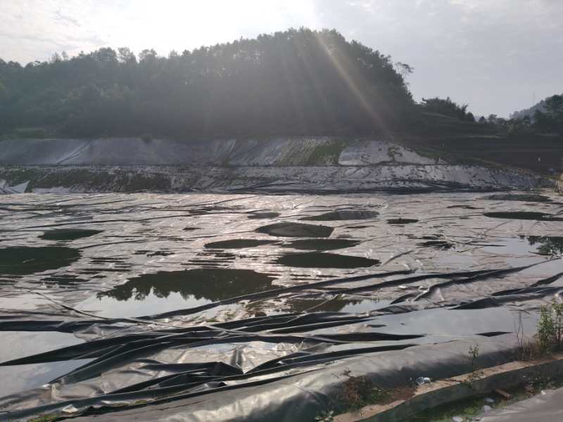 土壤固化剂生物酶土壤固化剂货到付款